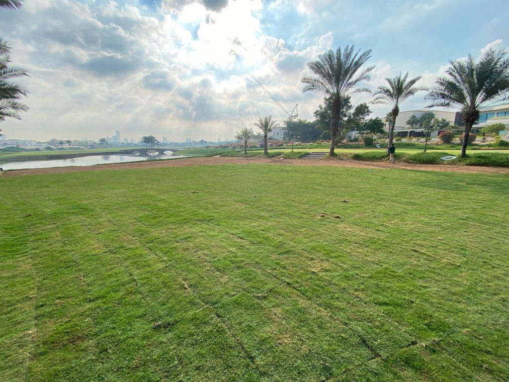 the Montgomery Golf Club by Desert group