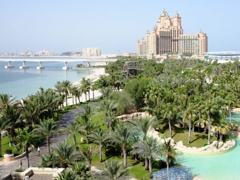 Atlantis the palm landscape maintenance by desert turfcare