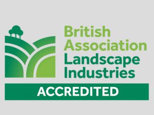 bali-logo-winner-blig copy