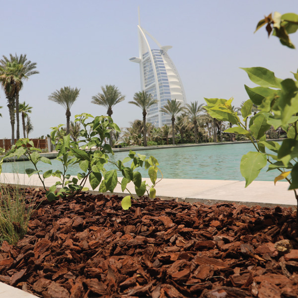 bark-mulch-desert-turfcate-general-trading