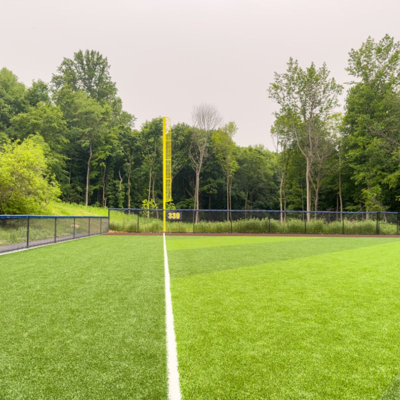 Before-and-after-of- taking-care-of-turf