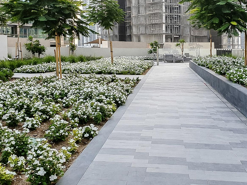 Boulevard crescent landscape constructed by Desert Landscape