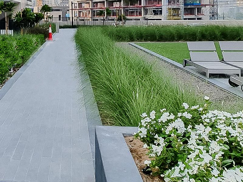 Boulevard crescent landscape constructed by Desert Landscape