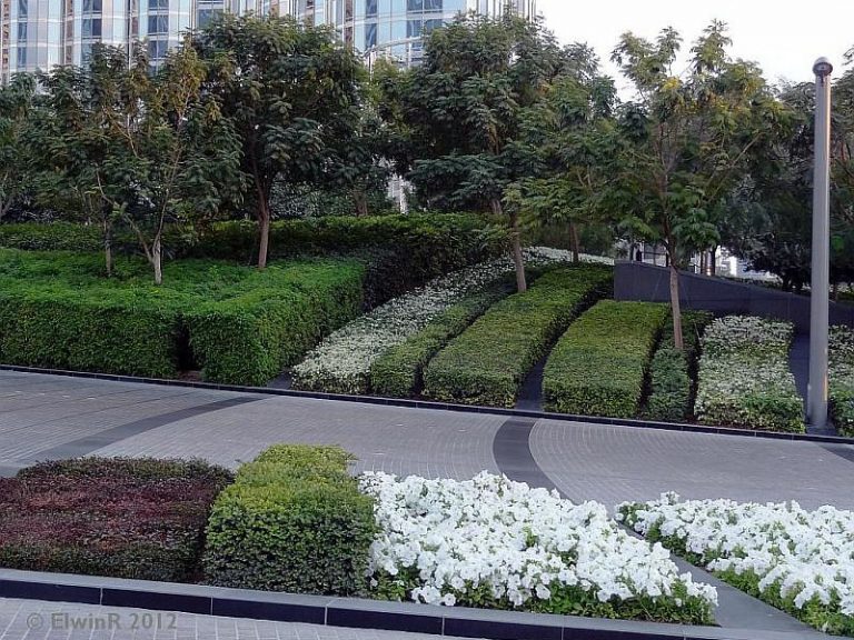 Burj khalifa landscape maintenance by desert turfcare