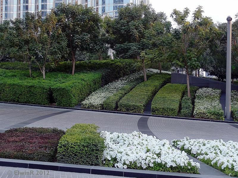 Burj khalifa landscape maintenance by desert turfcare