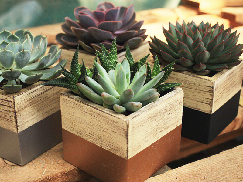 Corporate gifts made by Enable