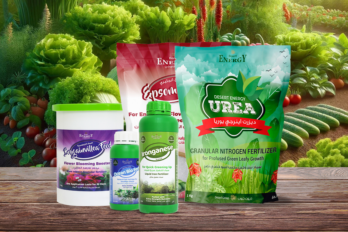 desert-energy-image-home