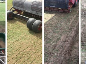 FACTORS THAT INFLUENCE TURF CARE