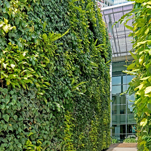 Green-wall-systems-desert-turfcate-general-trading