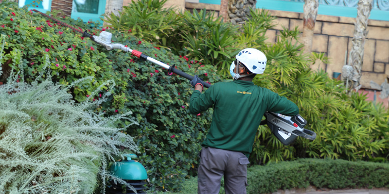 landscape-maintenance-image-home1