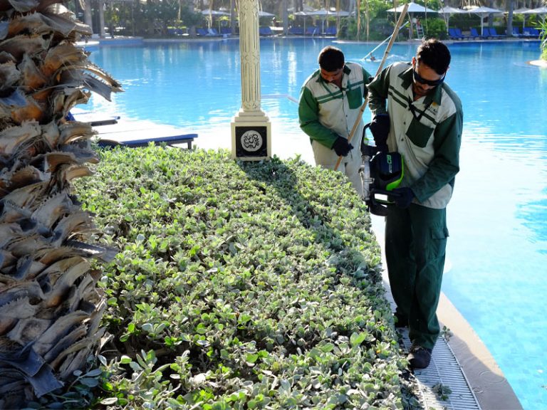 Madinat Jumeirah landscape maintenance by desert turfcare