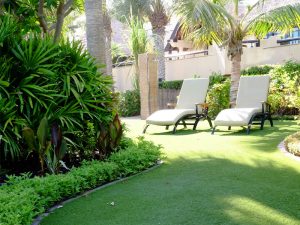 Madinat Jumeirah landscape maintenance by desert turfcare