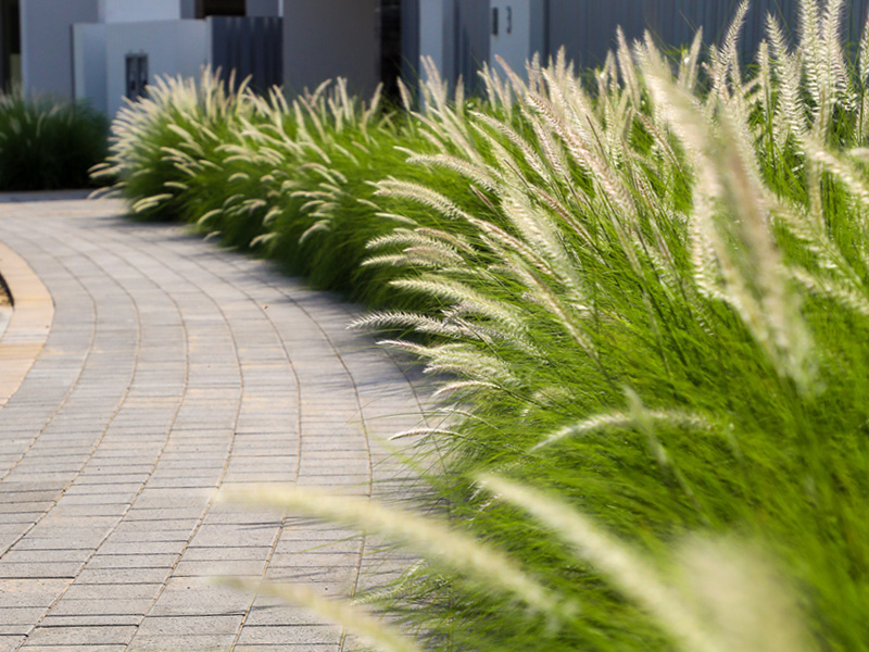 Parkway & Fairway Dubai hills landscape constructed by Desert Landscape