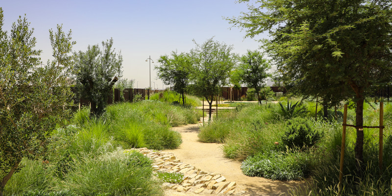 landscape-image-home