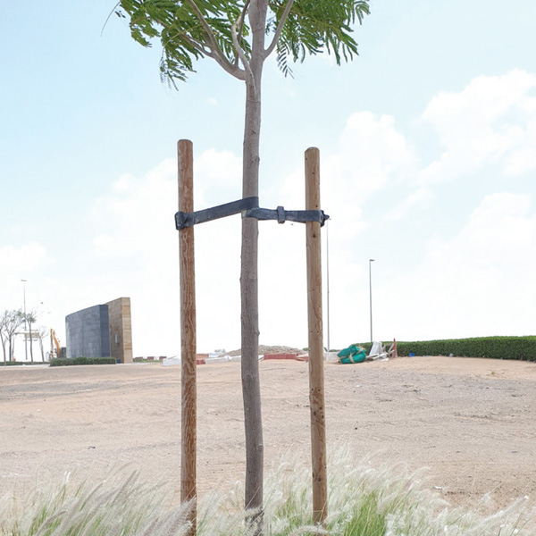 Tree-Stakes-desert-turfcate-general-trading