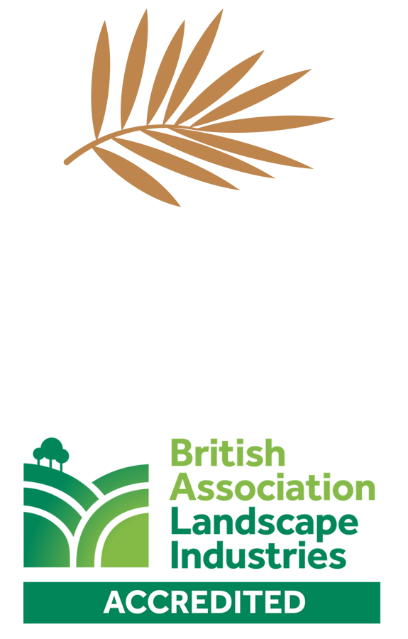 dg-logo-bith-bali-logo-light